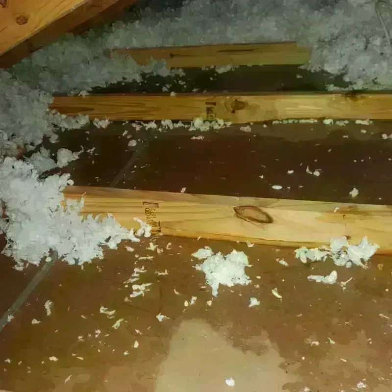 Attic Water Damage in Allen, TX