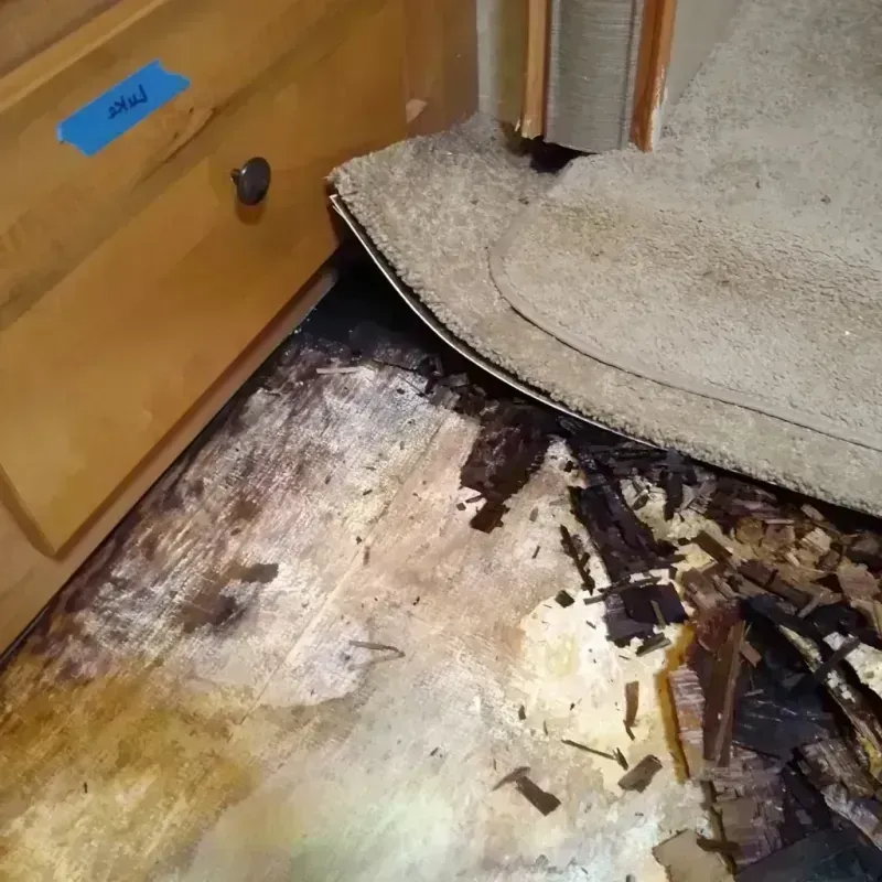 Wood Floor Water Damage in Allen, TX